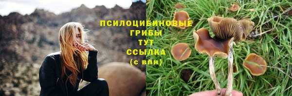 скорость mdpv Заречный