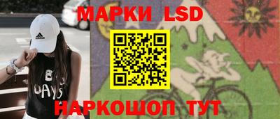 скорость Дубна