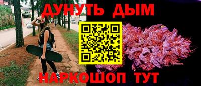 скорость Дубна