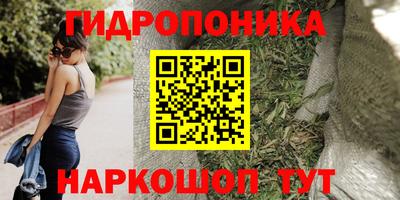 прущие грибы Балашиха