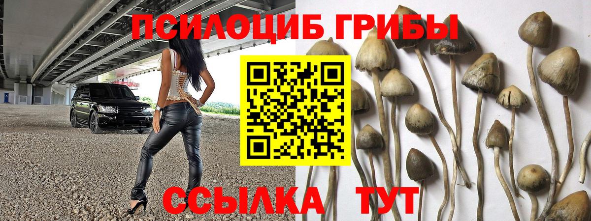 Галлюциногенные грибы Magic Shrooms  где купить наркоту  Павловский Посад  Вход с VPN 
