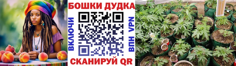 Бошки марихуана LSD WEED Павловский Посад